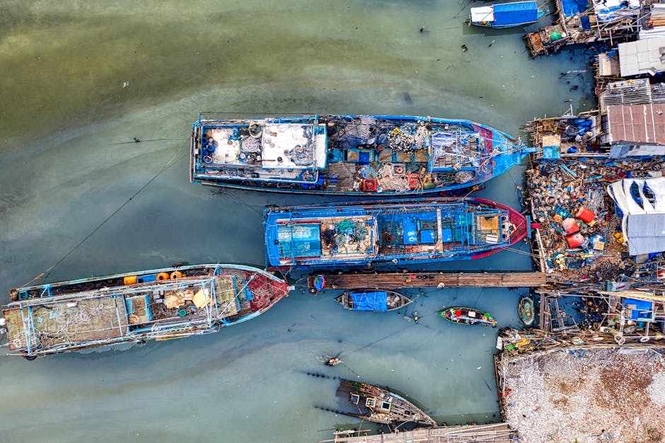 bactérie mangeuse polluants éternels