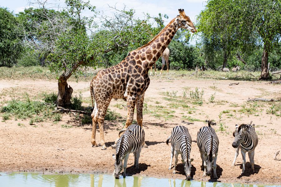 Arusha, Tanzania