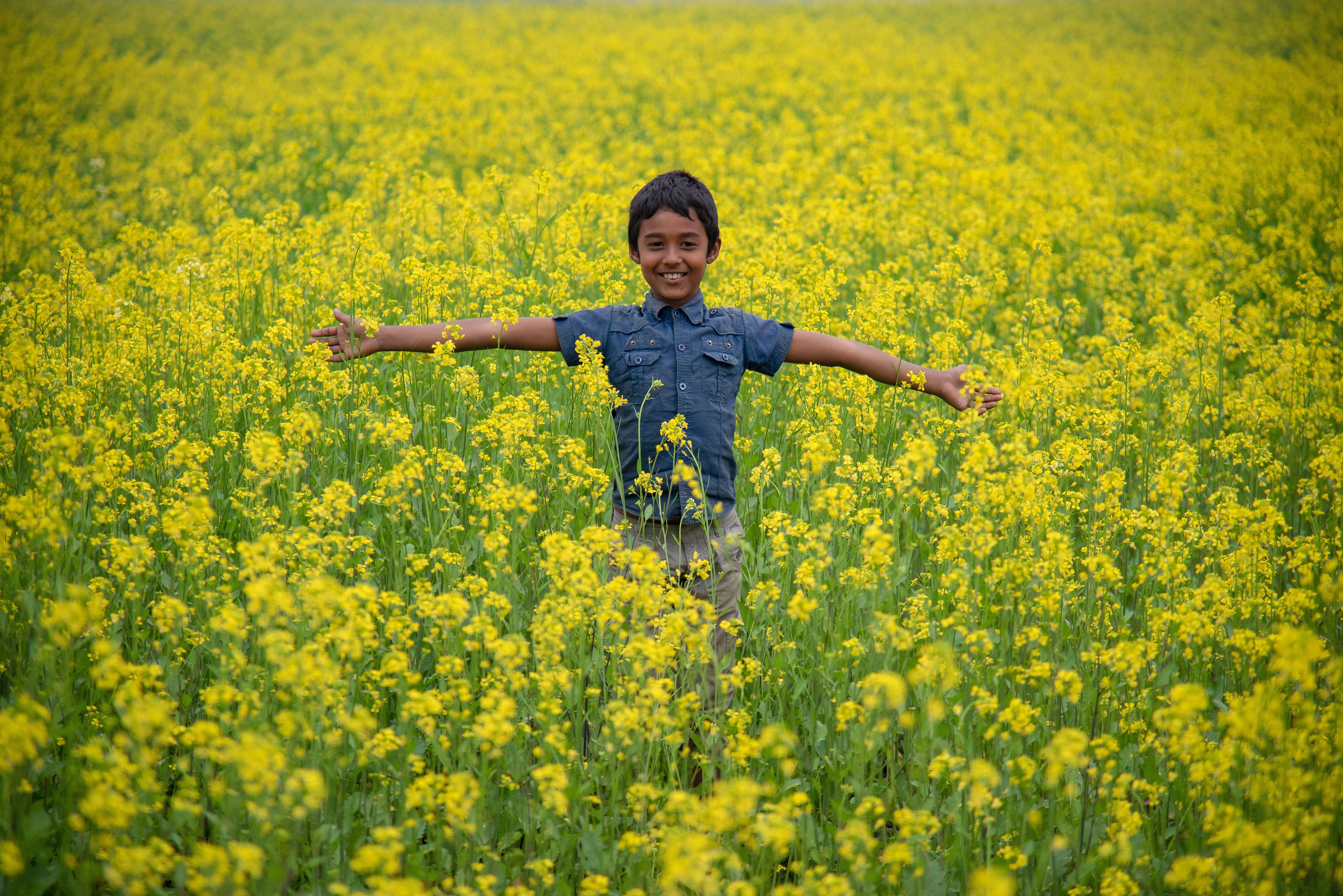 Photo of a Happy Boy Standing in the Middle of a Field with Yellow ...