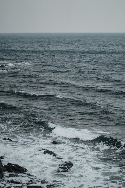 Δωρεάν στοκ φωτογραφιών με jeju, γνέφω, θάλασσα
