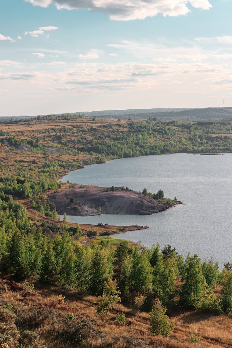 Trees Surrounding The Lake