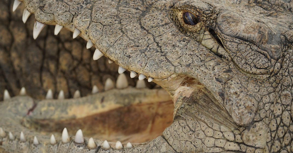 How to rinse your mouth with saltwater