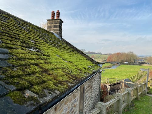 Ingyenes stockfotó farm, fű, ház témában