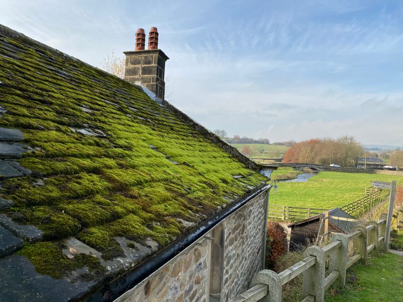 Maison rustique en pierre avec toiture en ardoise envahie par la mousse