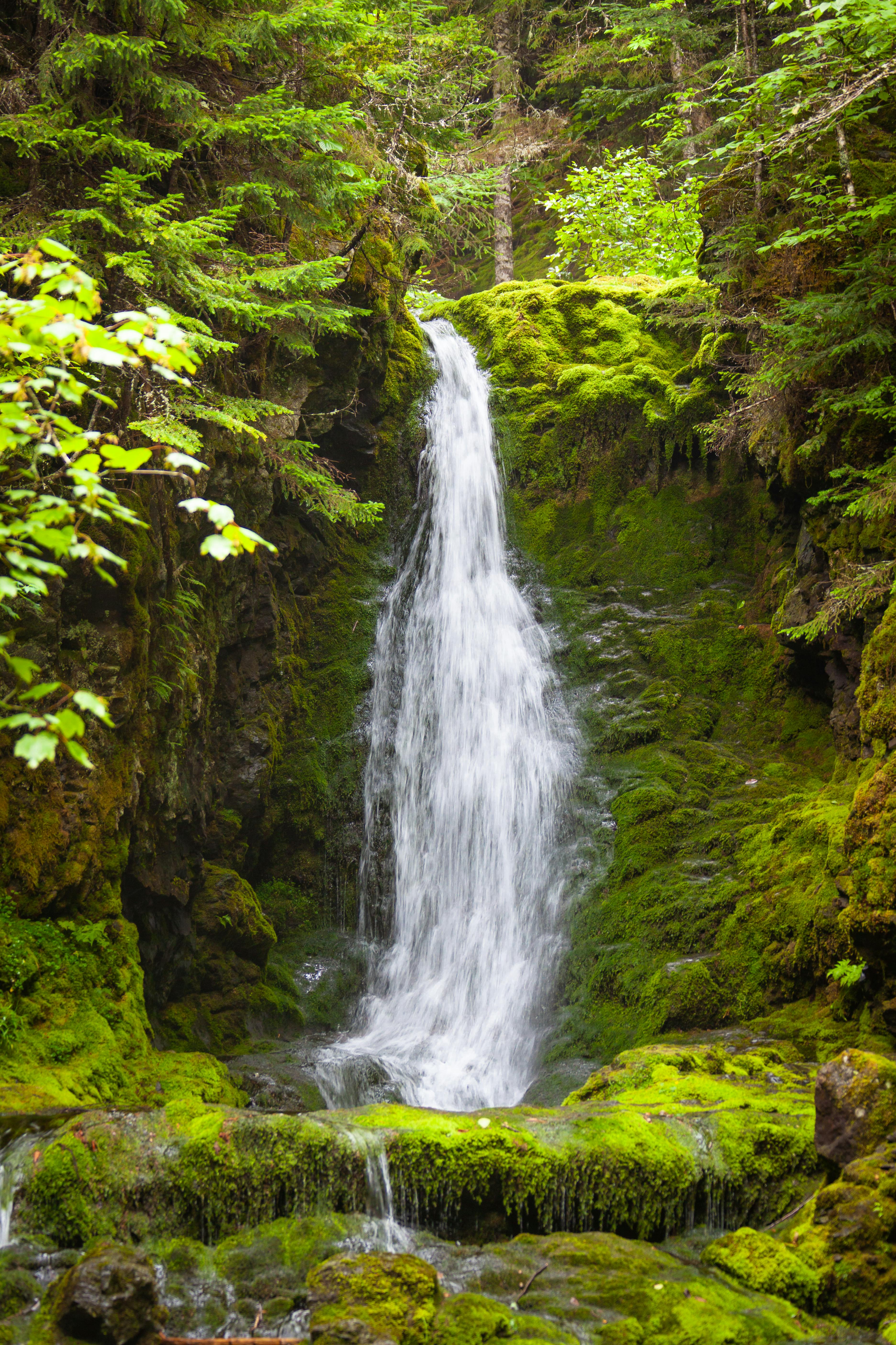 Apuseni Mountain waterfalls — spectacular in every season