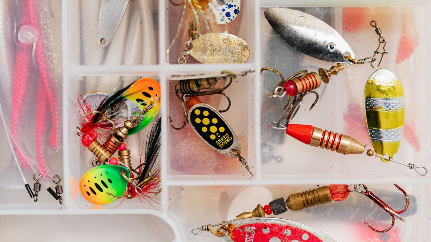 Choosing Fishing Tackle: A Beginner's Guide to Matching Gear