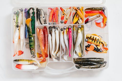 Small Plastic Organizer with Fishing Baits