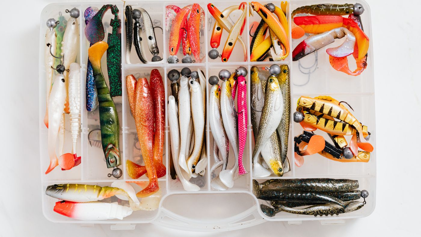 Fishing Lures Explained: Which Lure for Which Fish