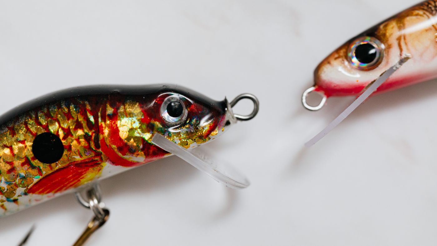 Trout Fishing Presentation: Why the Drag-Free Drift Is Everything