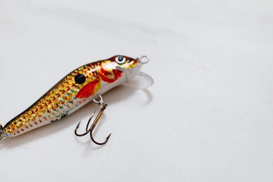 Iscas e equipamentos de pesca