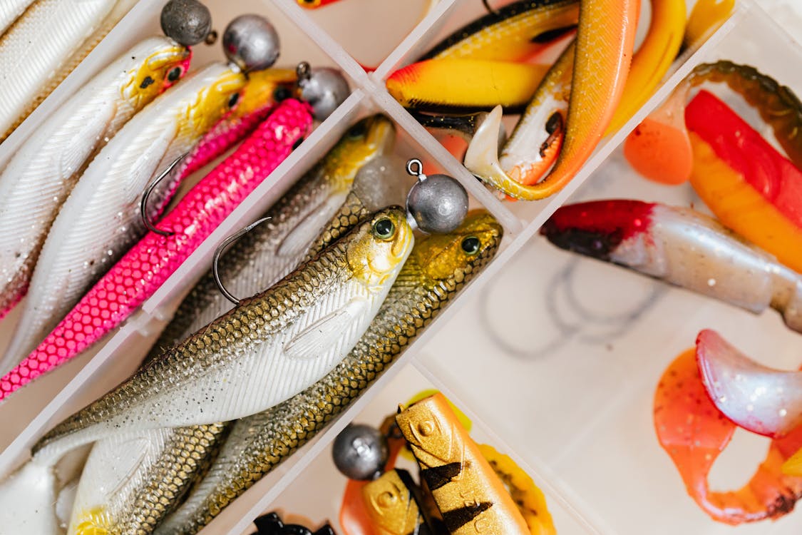 Colorful Fish Shaped Fishing Hooks · Free Stock Photo