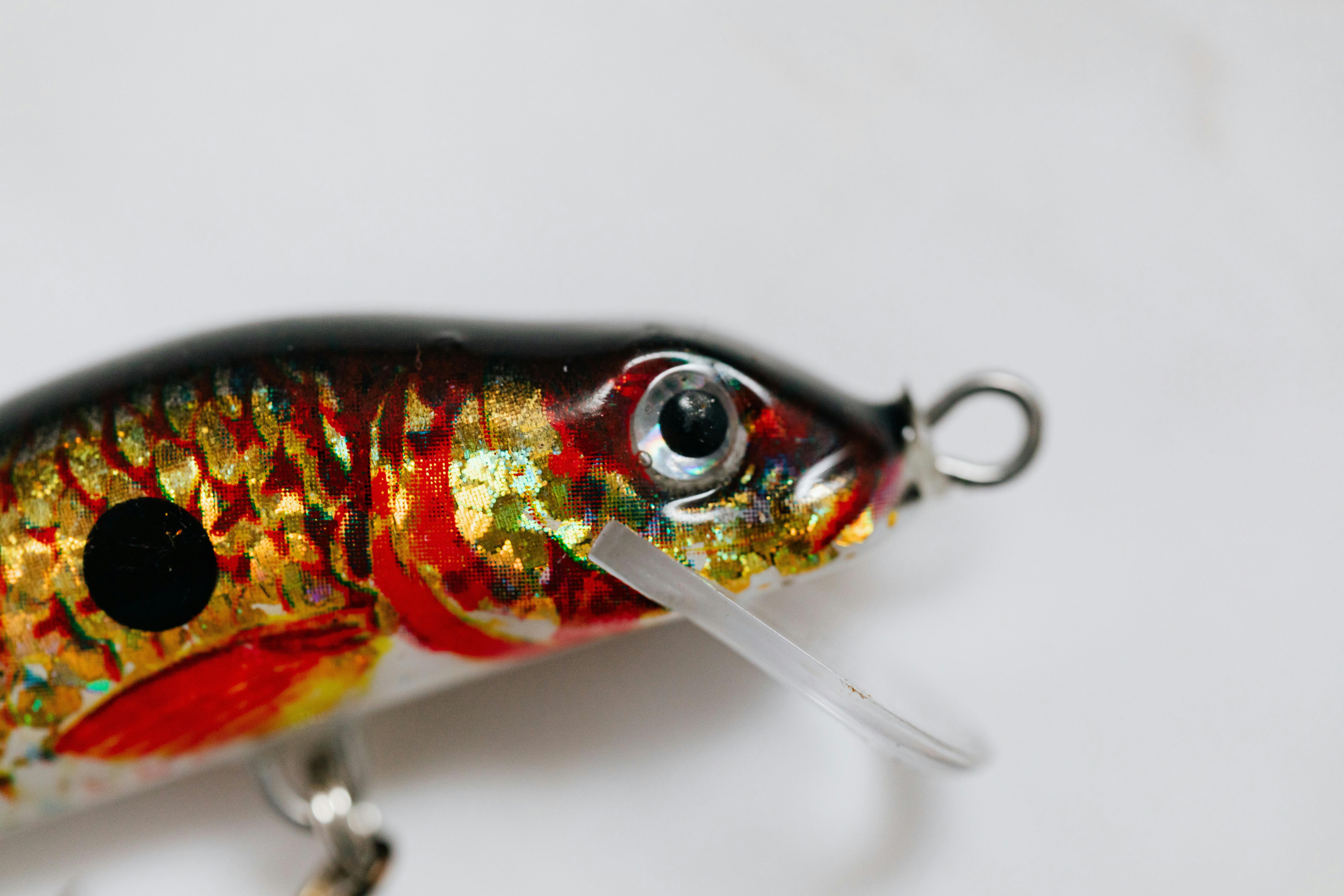 Artificial Bait in Close Up · Free Stock Photo
