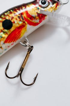 A vibrant fishing lure with a sharp hook on a plain white background.