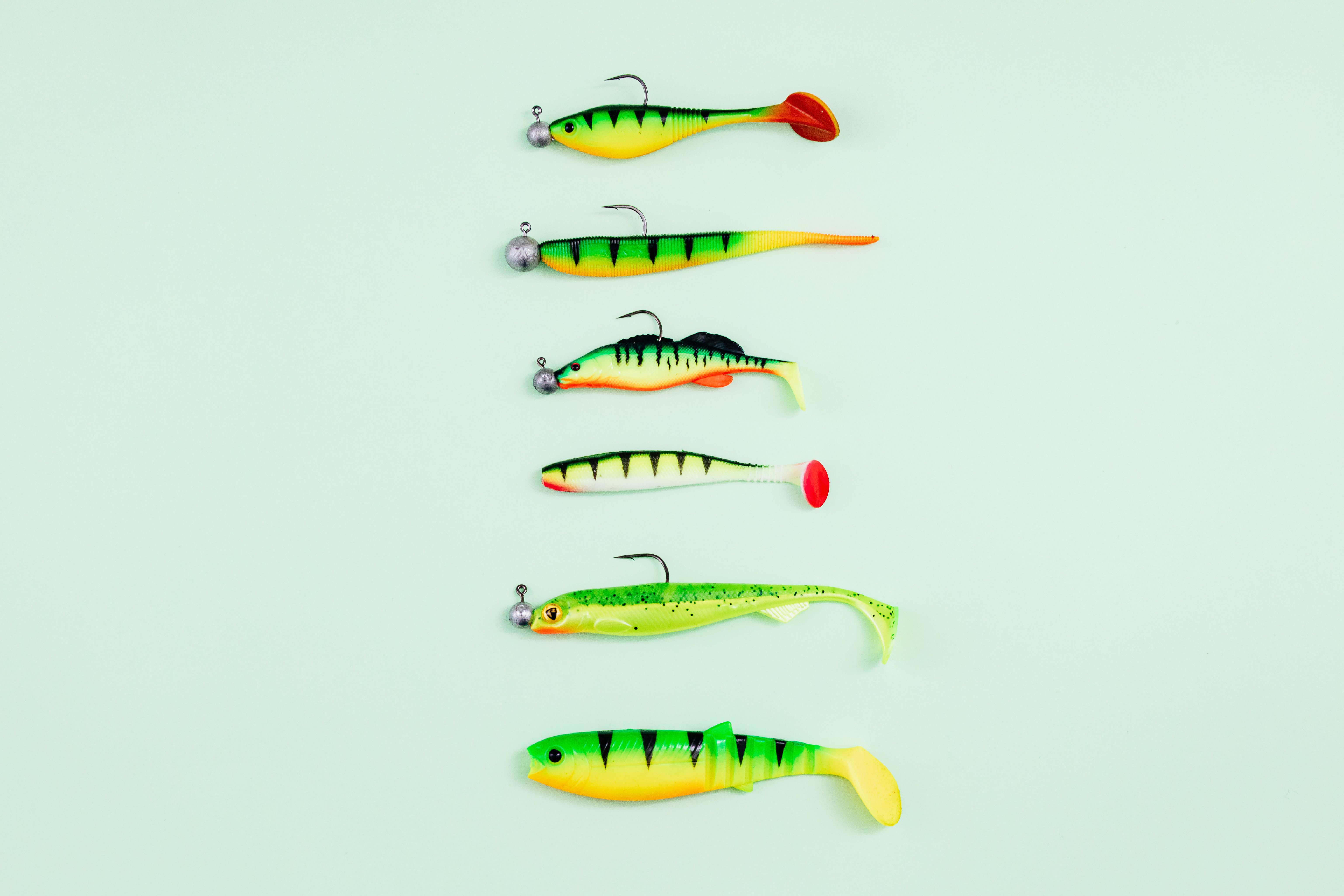 Catfishing Rigs, Bait, and Tackle: Simple Methods That Work