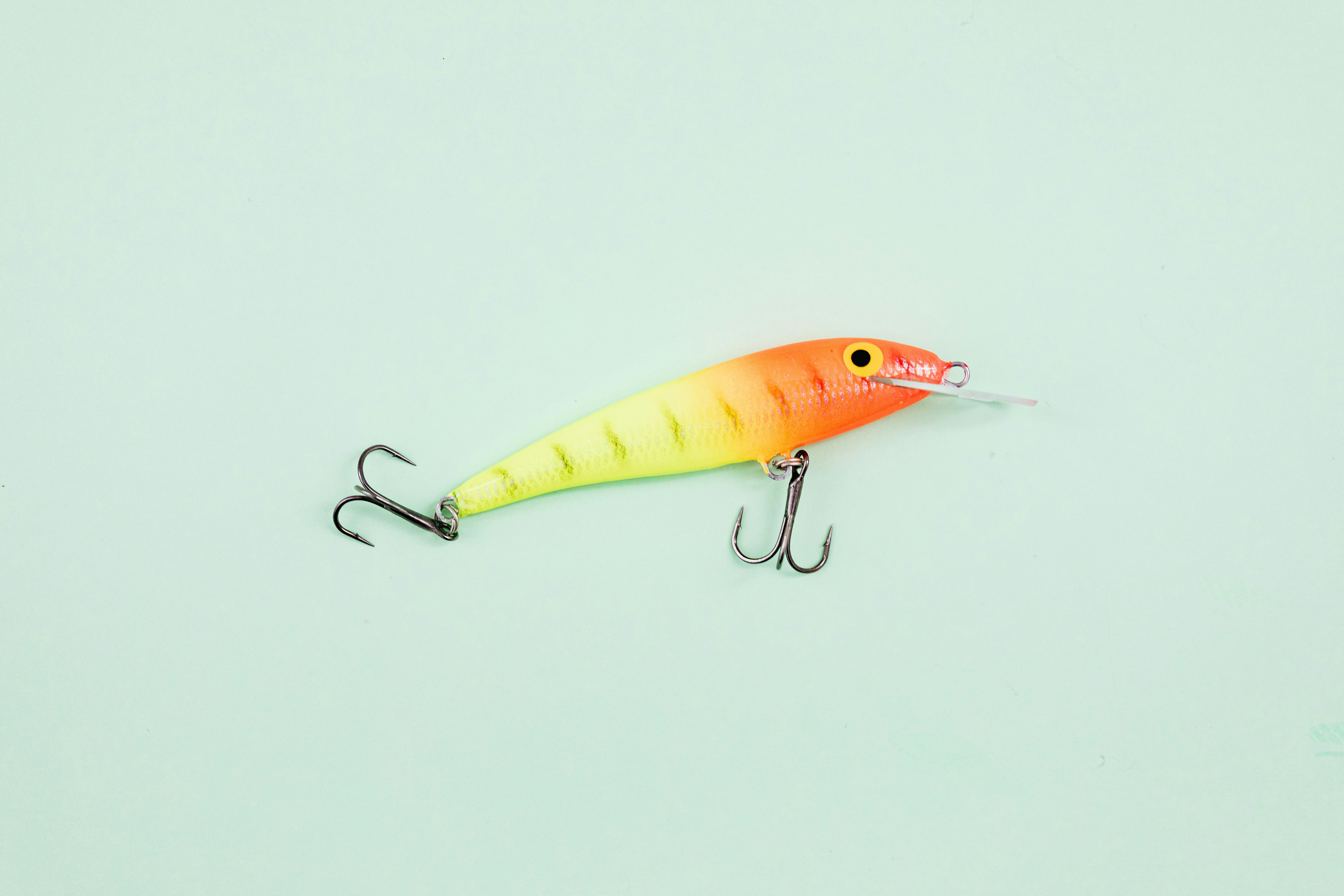 Yellow and Orange Fish Bait · Free Stock Photo