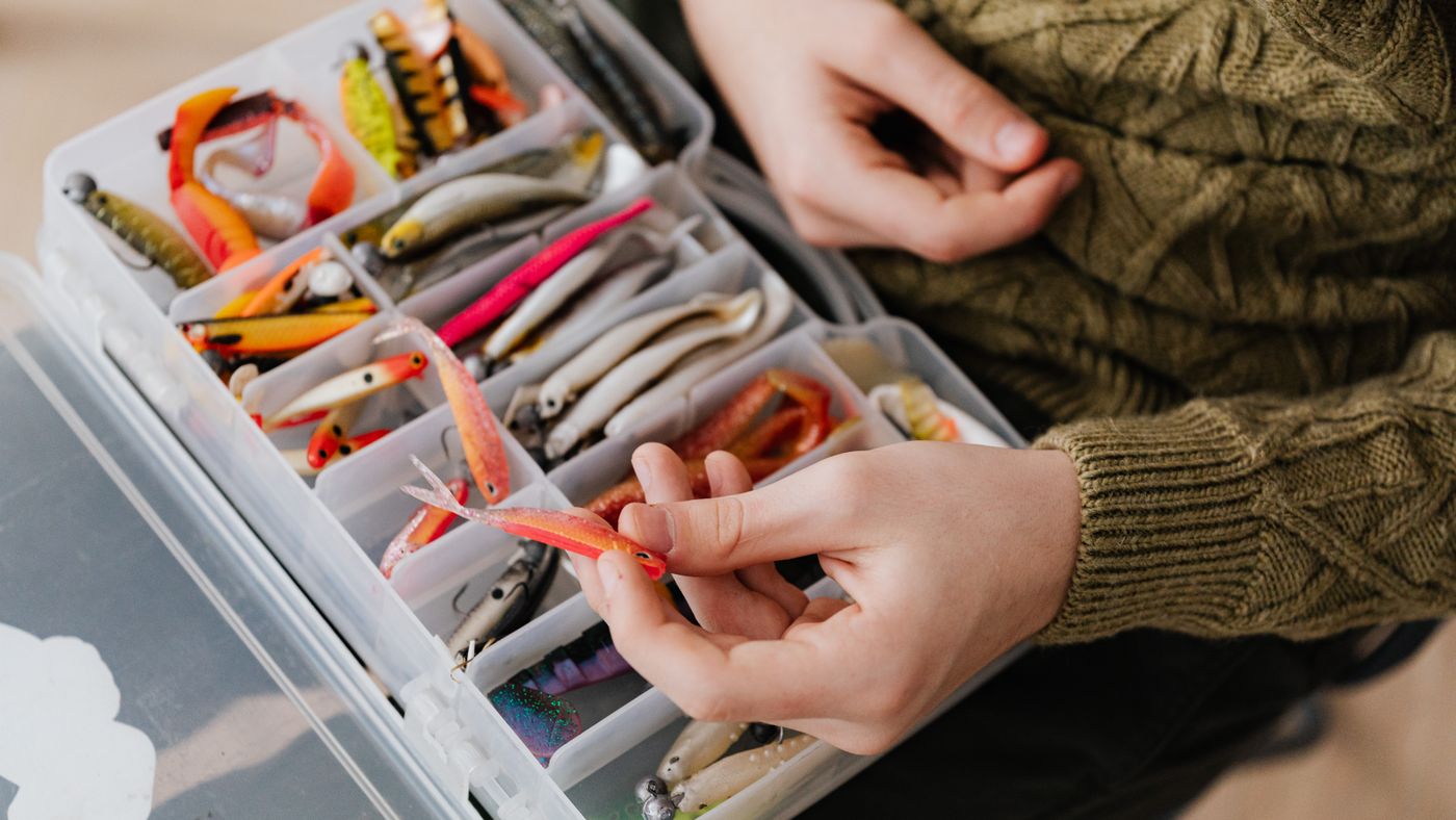 Fishing Bait Explained: Live, Cut, and What Catches What