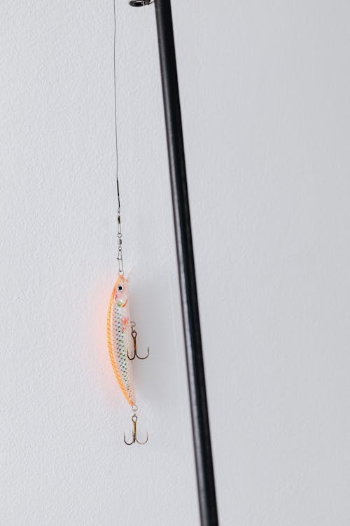 Attached Lure on Fishing Rod