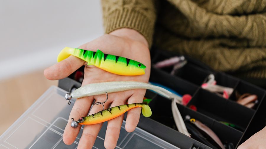 Live, Cut, and Artificial Bait: Understanding What Works and When