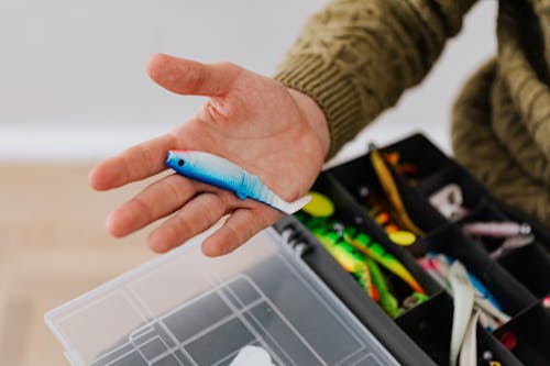 Person Holding a Blue and White Fish Bait