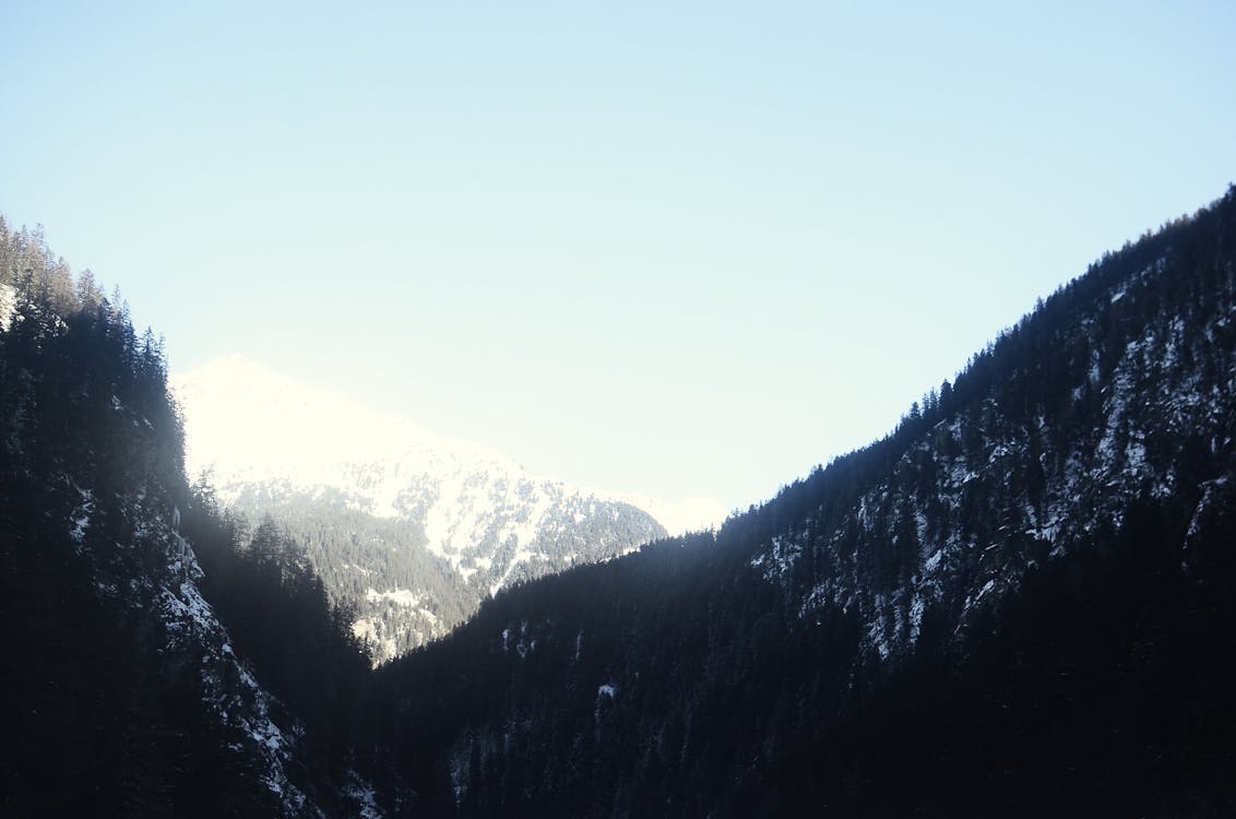 Mountains Covered with Trees and Snow