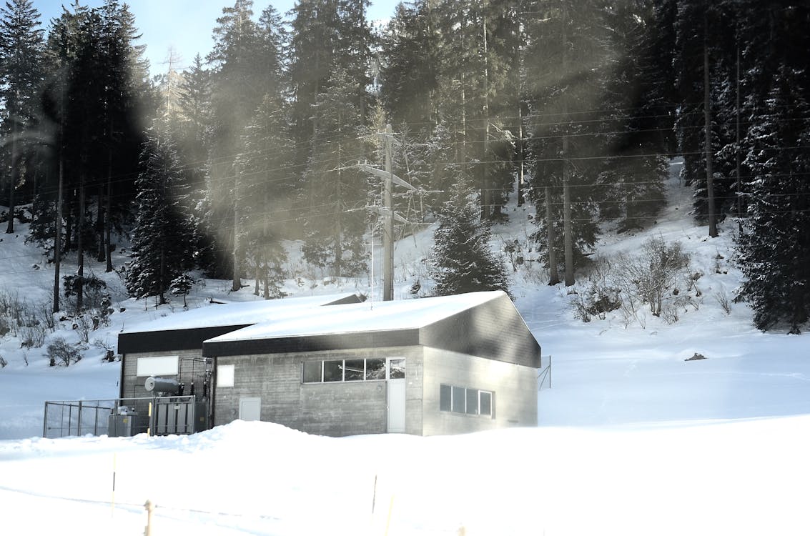 Cabin in Snowy Forest