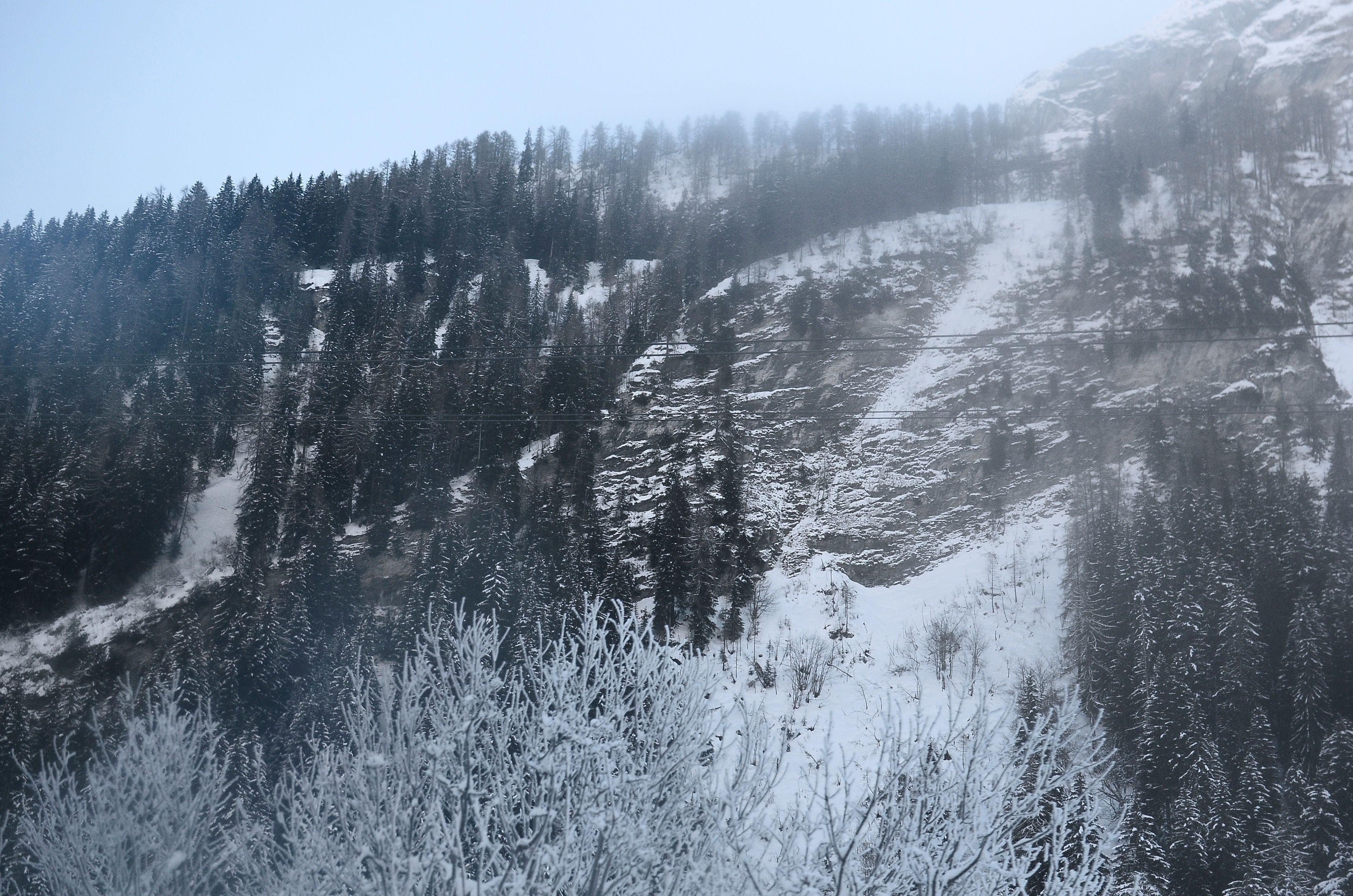 Mountain Covered with Snow and Tall Trees · Free Stock Photo