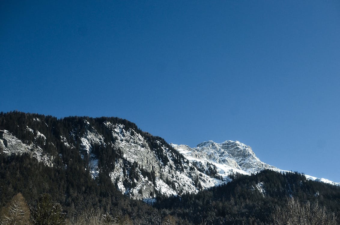 Бесплатное стоковое фото с горы, деревья, обои