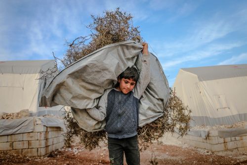 Free Serious ethnic boy carrying stack of dried plants on fabric behind back while walking in refugee camp with worn out tents Stock Photo