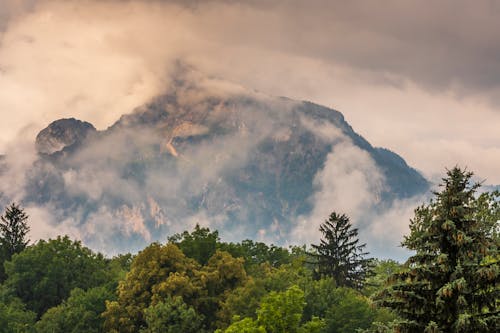 Mountain Covered with Fog