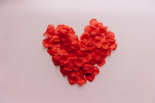 Free Heart Made with Petals Stock Photo