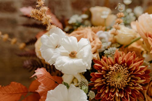 Free Fragrant flowers in bouquet for event Stock Photo
