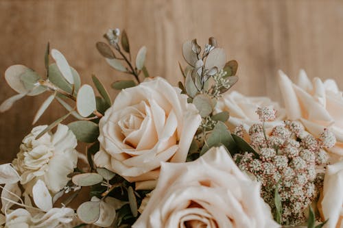 Roses Blanches Dans Un Objectif Tilt Shift