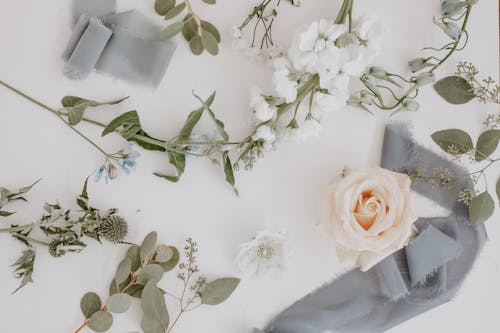 Free Flowers and branches with ribbon in floral workshop Stock Photo