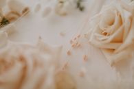 From above of blossoming roses with thin stems of dry plant prepared for making wedding floral decoration