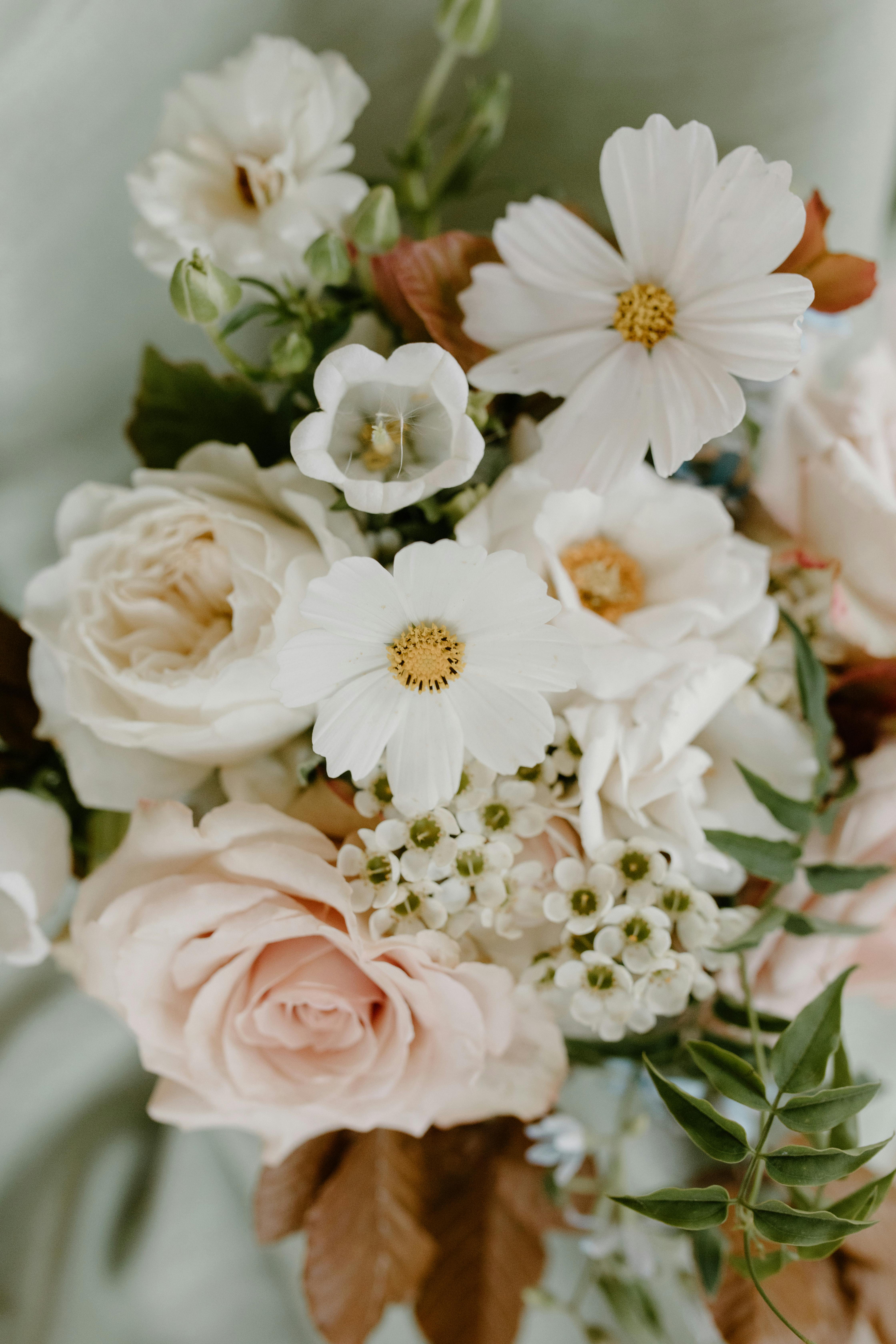 bouquet of fresh roses and cosmeya flowers