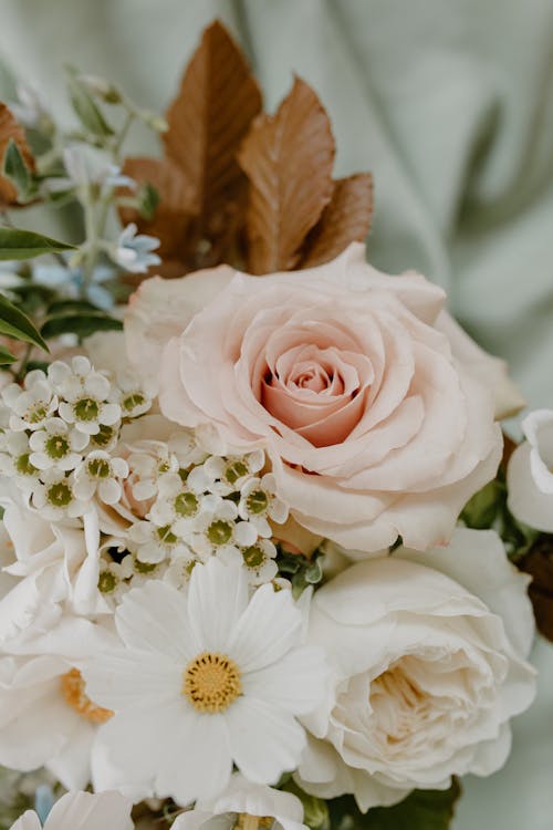 From above of elegant bouquet with fragrant pink roses arranged with delicate white garden cosmos and waxflowers