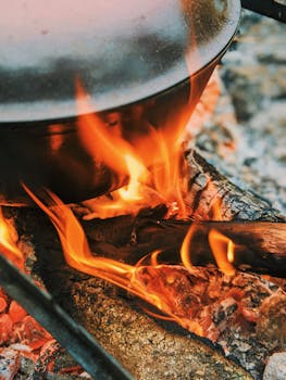 A rustic campfire with a pot heating on wood logs in a natural setting.