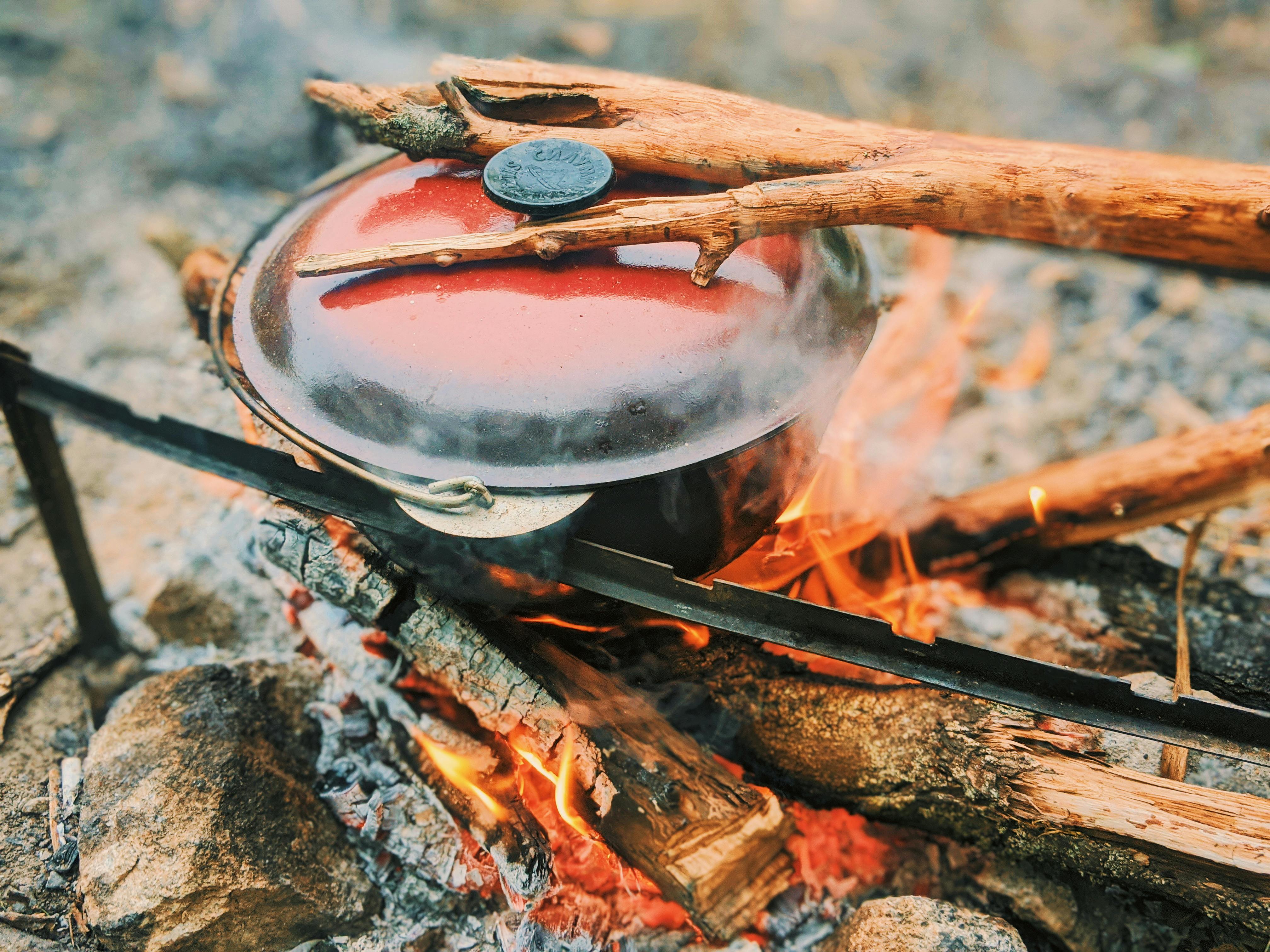 Hot pot on metal racks placed on burning bonfire with log while cooking during camping in woods on blurred background