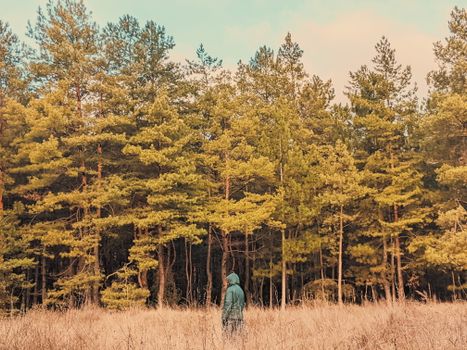 Anonymous distant person in hood standing on grassy meadow near dense woodland with tall coniferous trees with green branches in nature