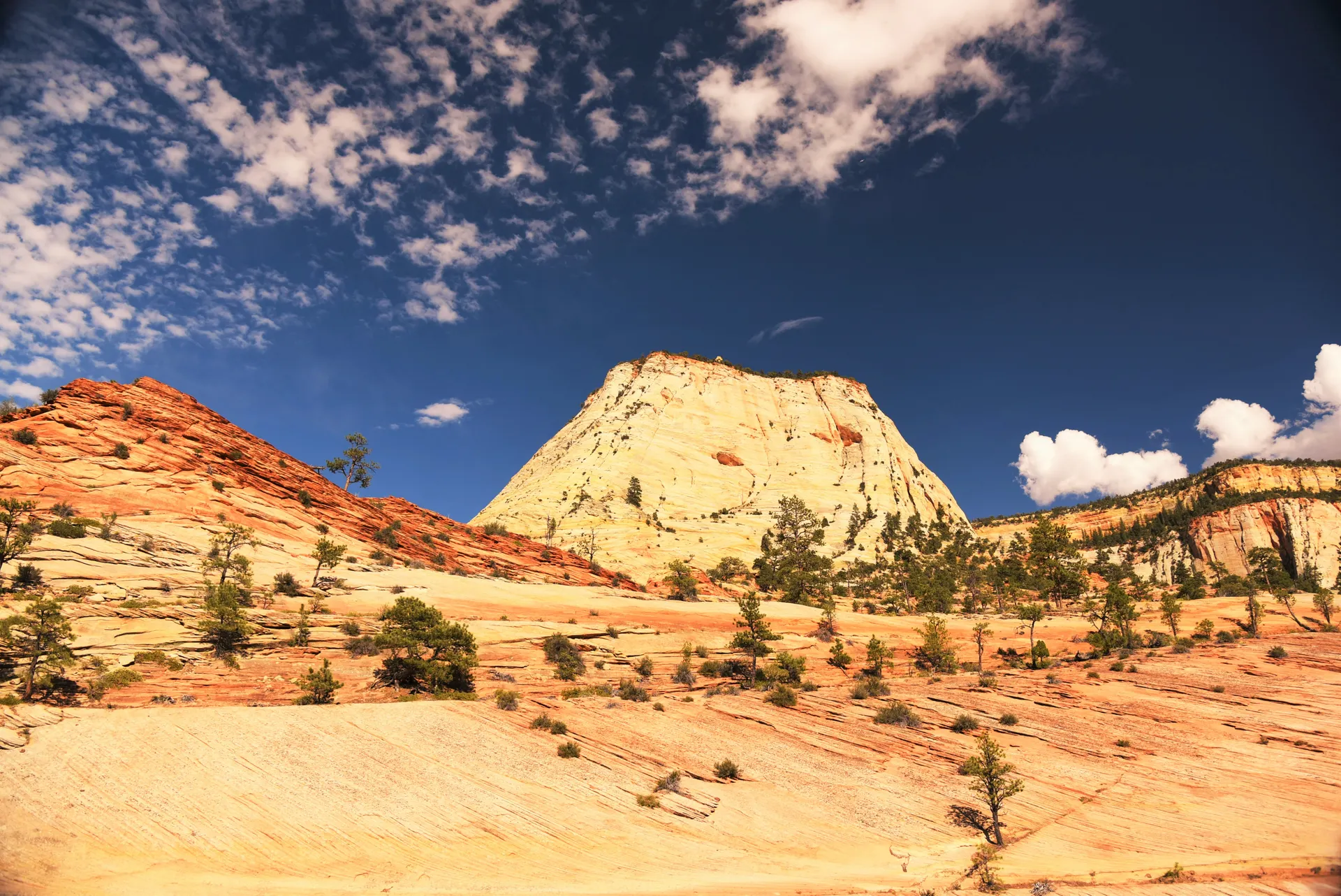 Angels Landing Permit Lottery: How to Win and Hike It