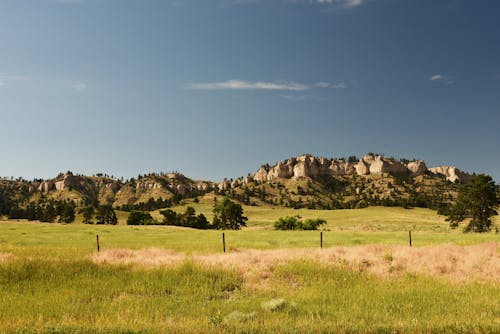 Foto d'estoc gratuïta de bellesa a la natura, camp, entorn natural