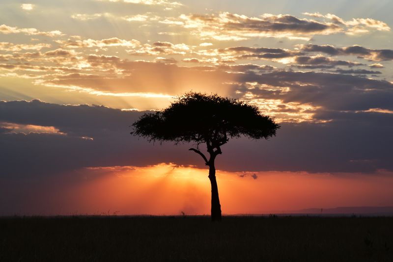 Safari lodge