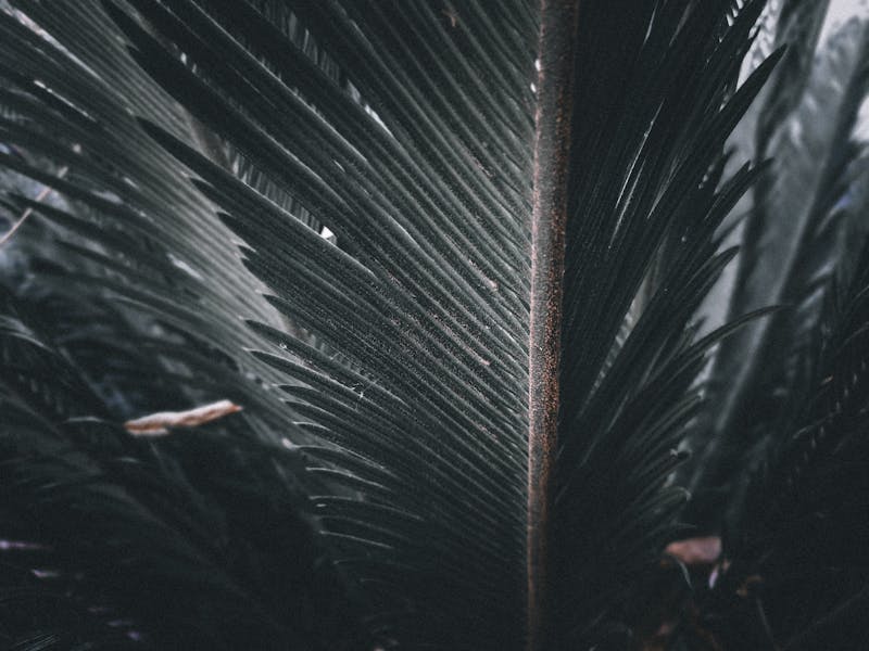 Custom cabinet construction process