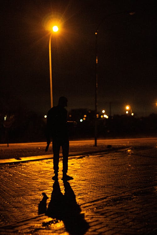 Fotobanka s bezplatnými fotkami na tému mesto v noci