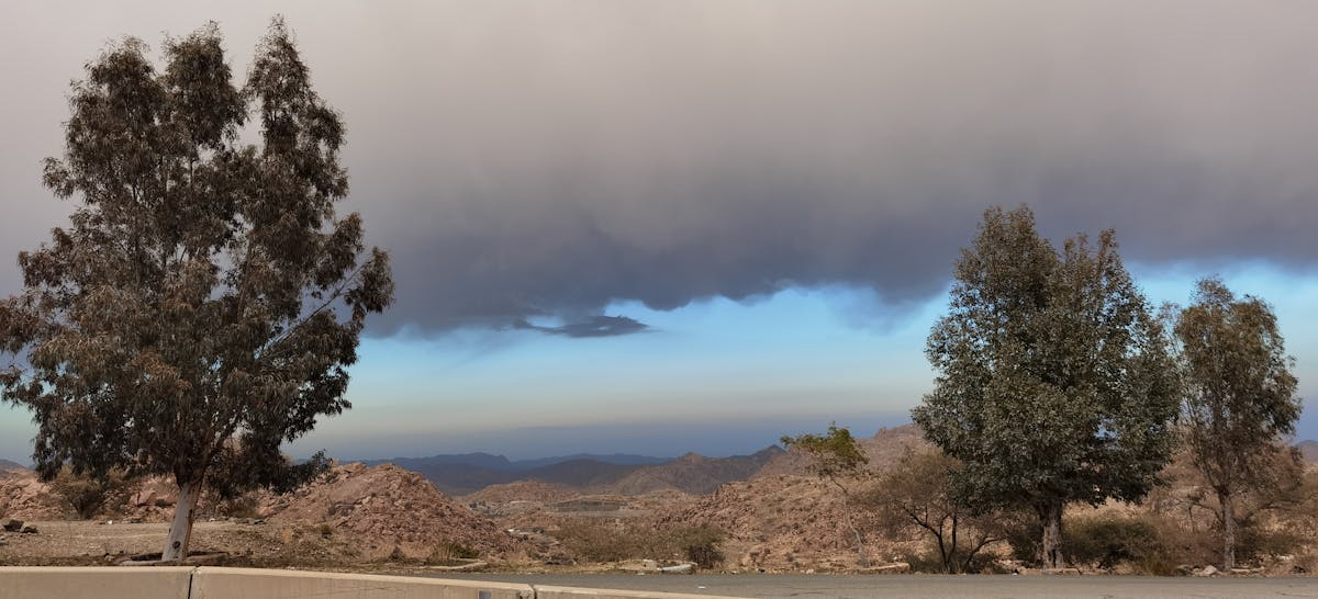 6 Science-Backed Ingredients That Supercharge Your Coffee