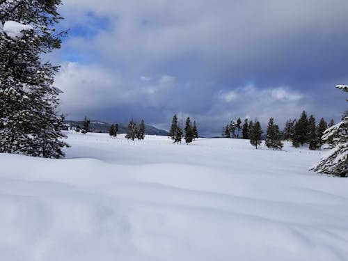 Foto d'estoc gratuïta de coberta de neu
