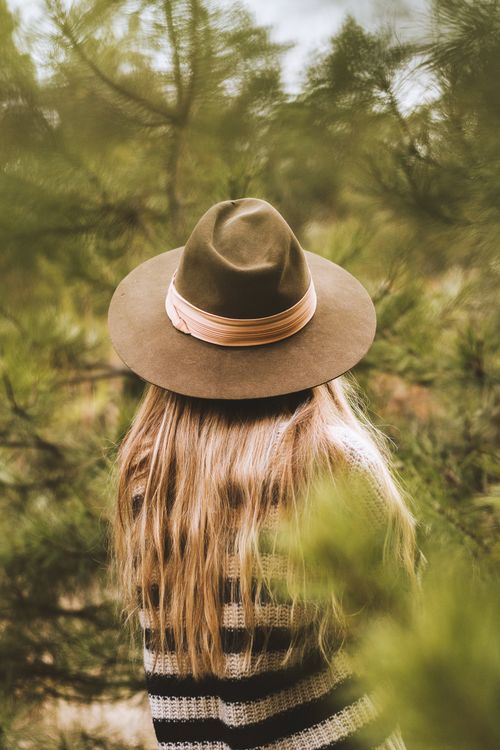 Free A woman with a cowboy hat in an autumn pine forest, viewed from behind. Stock Photo