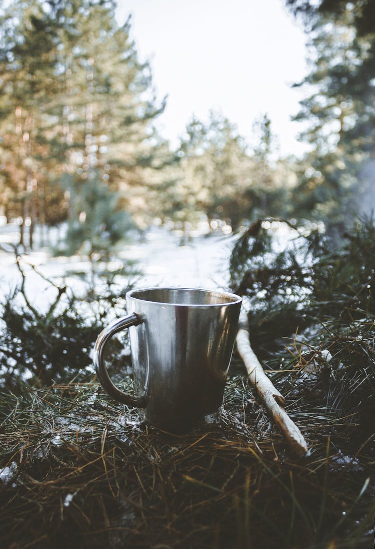 Cup Of Drink In Winter Forest