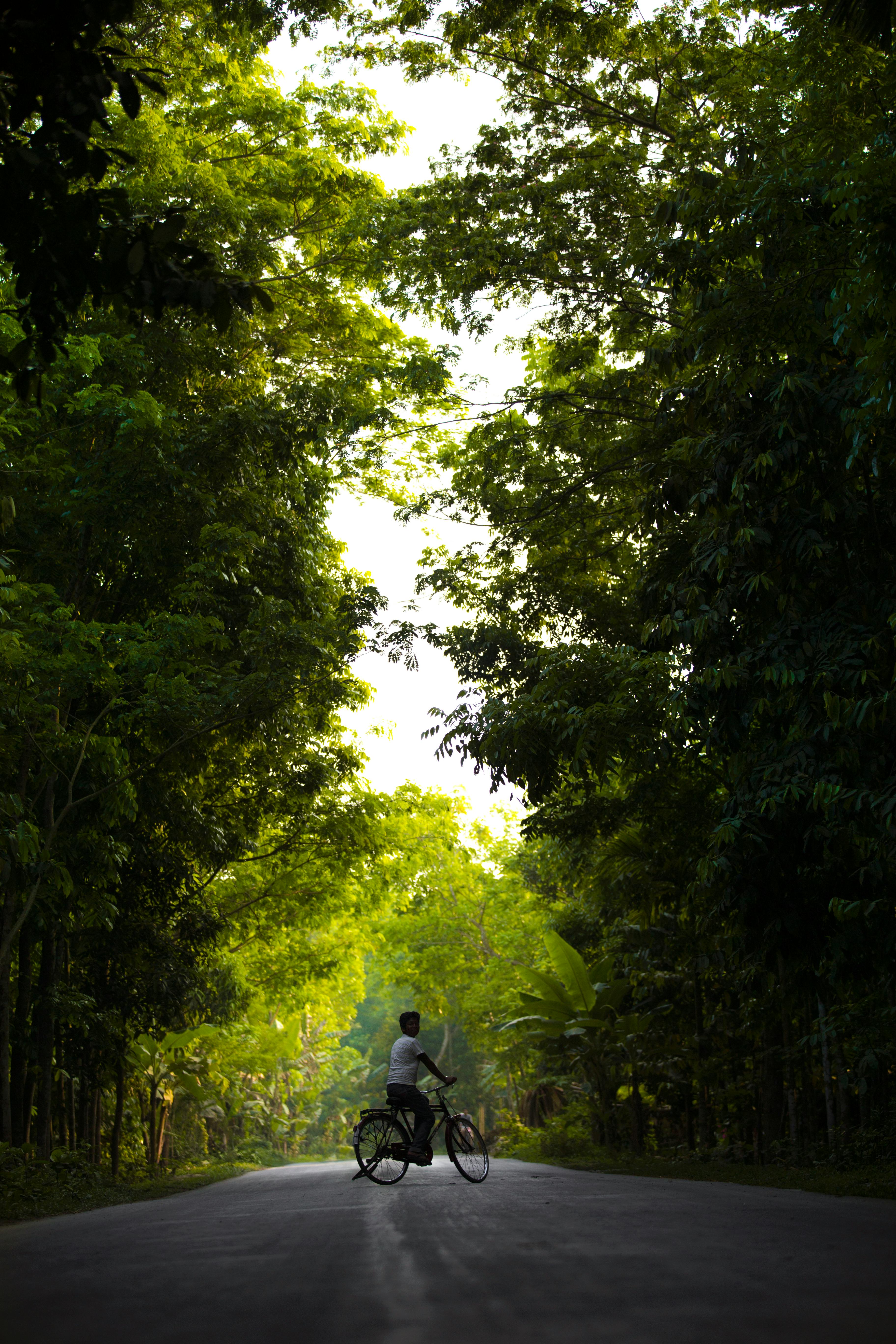 Free stock photo of bangladesh, bicycle, bike