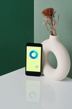 Elegant composition featuring a smartphone and decorative vase with dried flowers.